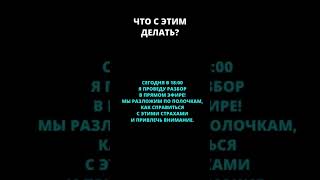 почему в твой чат никто не идет