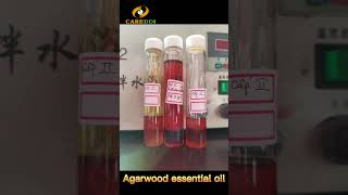 Agarwood oil after short path distillation separated light and heavy components