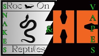 Snakes & Vapes #23 special guest “Mike of Herp Collectors”