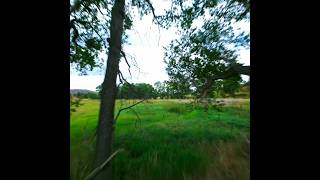 #drone #fpv #cinematic Ghost Branch