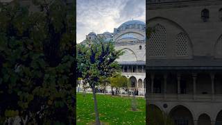 🇹🇷 🕌 Istanbul Turkey #travel #islam #youtubeshorts #istanbul #mosque #türkiye #turkey #shorts