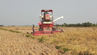 NEW swaraj harvester