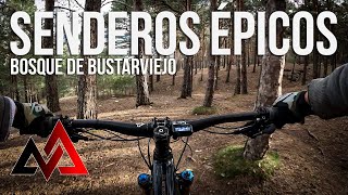 Probablemente el SENDERO MÁS RÁPIDO de BUSTARVIEJO 🌲 Bosque de Bustarviejo 🚵 Santa Cruz Heckler 8