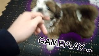 GAMEPLAY DE CACHORRINHA