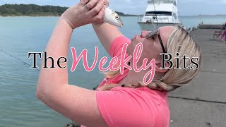 Sunny walks & Chocolate Thief | The weekly bits