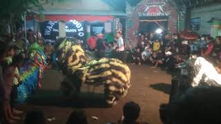 tari singo wargo Budoyo live di sumberdiren garum