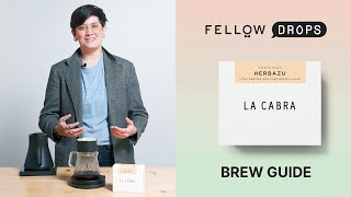 Fellow's Take on Costa Rica Herbazu from La Cabra | Brew Guide