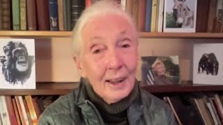 05 ForumforAg 2023 Interview with Dr. Jane Goodall, DBE