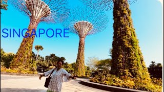 SINGAPORE TRAVEL GUIDE Must have drink 🍷 in Singapore 🇸🇬