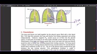 Physiology of Lung Compliance .Part 2