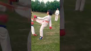 Powerful Karate Fight