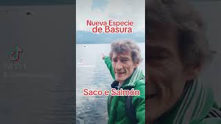 ¿Salmoneras contra las cuerdas?