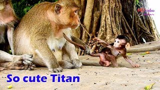 WOW...Very cute baby Titan turn face look to mom, Titan really wonder why mom what mom looking for