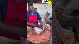 KASIMEDU SPEED SELVAM FISH CUTTING VIDEO \ cutting focus #kasimeduselvam #bigfishcutting