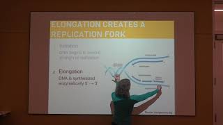 DNA Replication