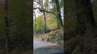 Beautiful #autumnal #Welsh #hill #drive #nature #automobile #mountainpass #wales #mountainroads