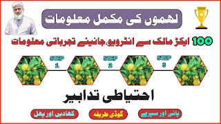 China Lemon Garden Care In Pakistan - Lemon Spray-Lemon Pesticides- Lemon Watering-Lemon Cultivation