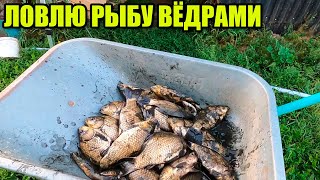 Ловлю рыбу вёдрами, а она всё не заканчивается.