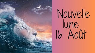 🌙NOUVELLE LUNE en LION 16/08: Je suis Amour et Compassion. Je ne dépend plus de l'extérieur 🙏🏼☀️❤️🌎