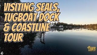 visiting seals, tugboat dock coastline tour