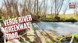 Hiking Verde River Greenway Trail | Dead Horse Ranch State Park | Cottonwood | Arizona