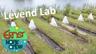 Pesticidenonderzoek in het LEVEND LAB in Leiden #7 Ernst Kopje Onder