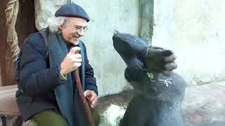 Dialogo con chimpanze