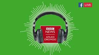 Oduu BBC Afaan Oromo Galgala Wixata Monday 14 Gurraandhala 2022