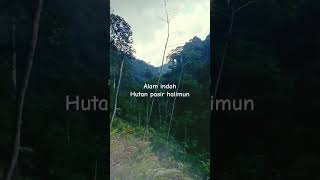 Suara derkuku alam | suara alam yang indah #pecintaalam #shorts #nature #gunung #kicaumania