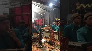 Anak muda menabuh gamelan #gamelanjawa #wayangindonesia #kesenianindonesia #budaya #wayangkulit