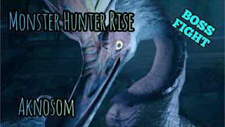 Monster Hunter Rise | Aknosom BOSS FIGHT 👹