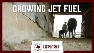 Growing Jet Fuel