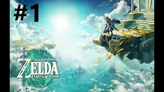 Zelda : Tears of the kingdom. ON DECOUVRE LE JEU. Live 1