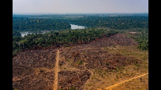 Susanna Hecht OCTF Seminar: Amazonia: deforestation, disaster capitalism and the Commodity Consensus