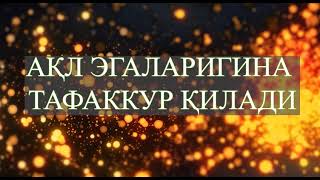 "Ақл эгаларигина тафаккур қилади"  Мансур домла