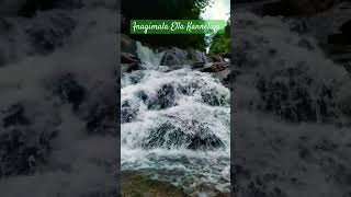 Anagimala Ella Kanneliya Waterfall Galle Sri Lanka 😍👌 | Amy's Journey #shorts #waterfall