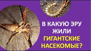 16. В какую эру жили гигантские насекомые?