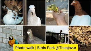 Photo Walk 🚶‍♀️🚶‍♀️|| Birds Park at Thanjavur🦜🦜