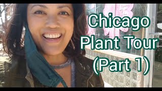 Chicago Plant Shop Tour | The Plantier | Plant Shopping in Chicago | Rare Plants | Ep15