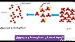 بعض التمثيل البياني لمادة علوم والطبيعة  البيام2020