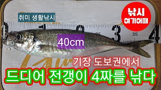 도보권 갯바위에서 기장권 최대 40cm 전갱이를 드디어 낚아 올리다 /아징낚시/대변방파제/부산기장권방파제낚시조황/부산낚시/기장갯바위낚시/방파제생활낚시