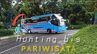 Hunting bus pariwisata di parkiran jatim park 2 kota batu