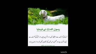 عقیقہ کرنا سنت رسول صلی اللہ علیہ وسلم سے ہے لڑکے کے لیے دو جانیں اور لڑکی #quotes ##ytshorts #islam