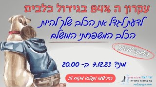 הזמנה לוובינר- עקרון ה 84% בגידול כלבים(לדעת לגדל את הכלב שלך להיות הכלב המשפחתי המושלם)