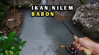 BEST MOMENT mancing wader,mancing nilem/melem