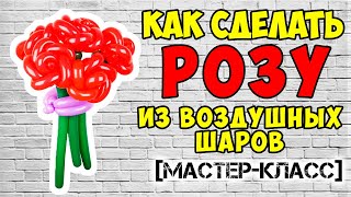 Роза из воздушных шаров для моделирования  Как сделать розу из шдм своими руками