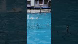 Swimming #shorts #shortsvideo #youtubeshorts #swimming