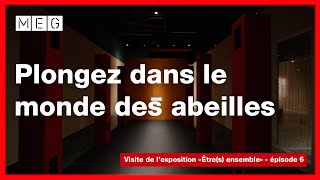 Dans la peau d'une abeille - épisode 6 de la visite de l'exposition «Être(s) ensemble»