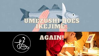 4.) Umezushi does Ikejime... Again!