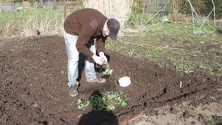 Gartenrundgang März /2020  Der Erste von vielen